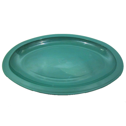 PLATO TAMPIQUEÑO
