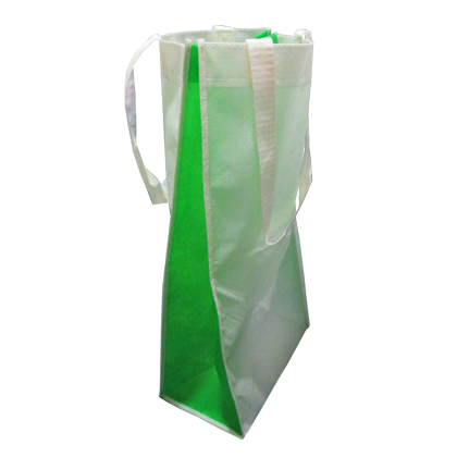 BOLSA ECOLOGICA REUTILIZABLE
